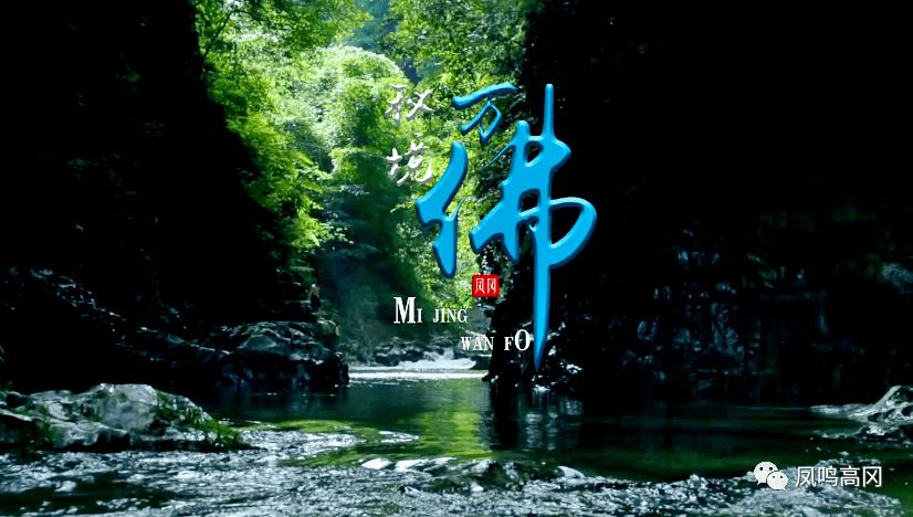 奥日与精灵意志